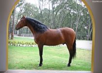 4W5A7639 (Copiar)